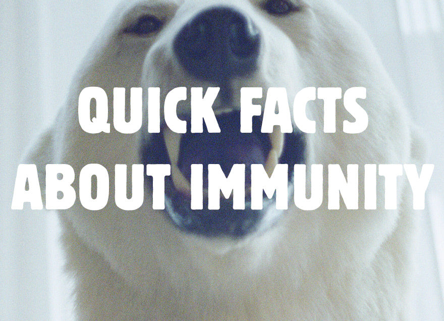 Quick facts about Immunity