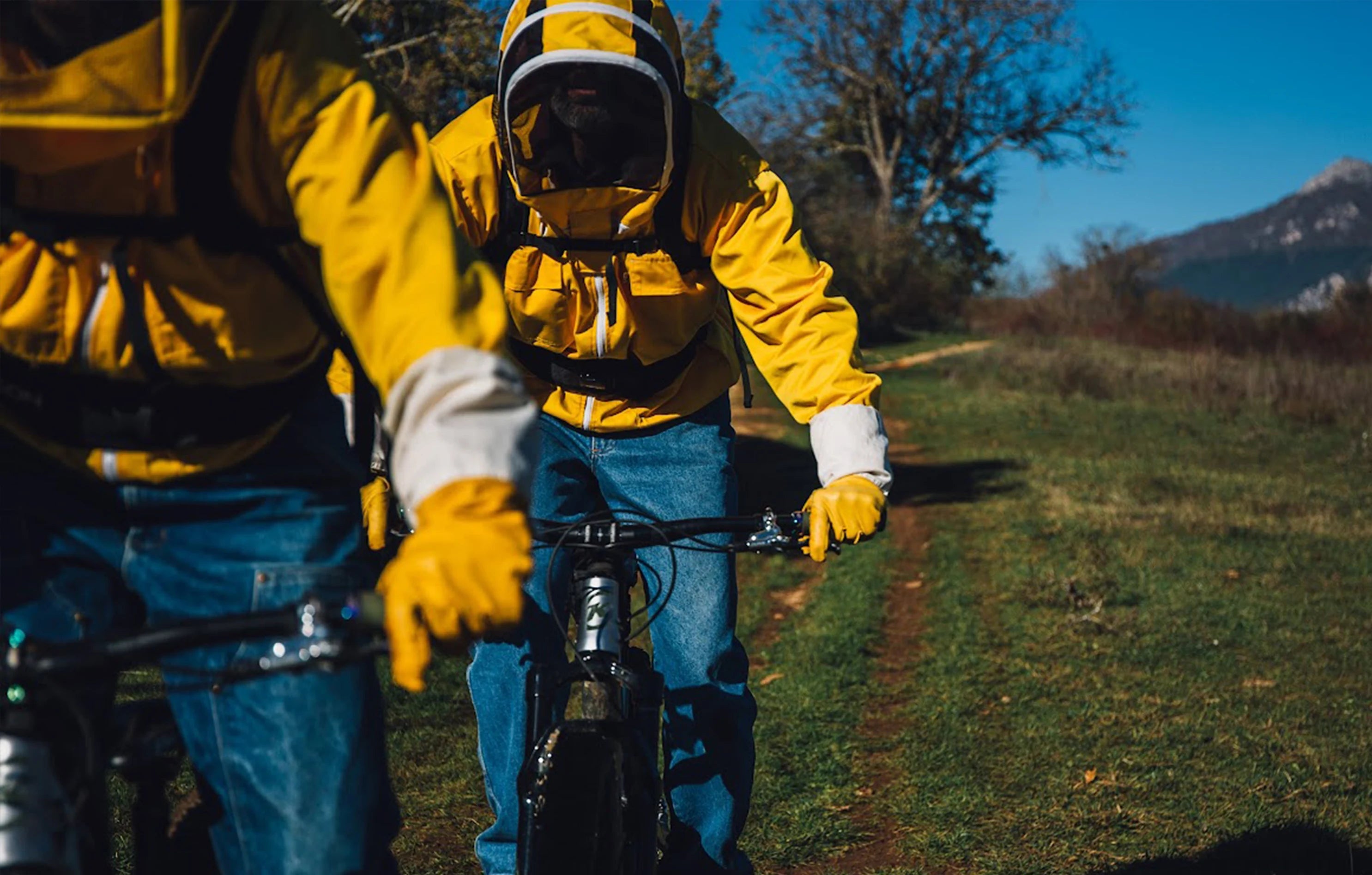 Bikepacking & Bienenzuch